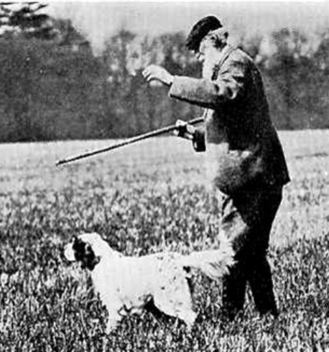 Richard Purcell Llewellin